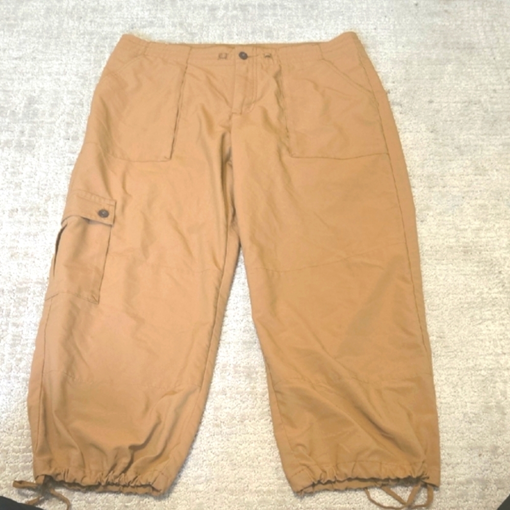 Patagonia Tan Cargo Pants